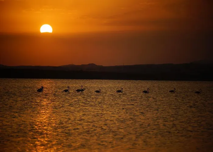 House Of The Dream * Torrevieja