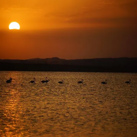 House Of The Dream * Torrevieja