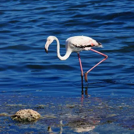 House Of The Dream Hébergement de vacances